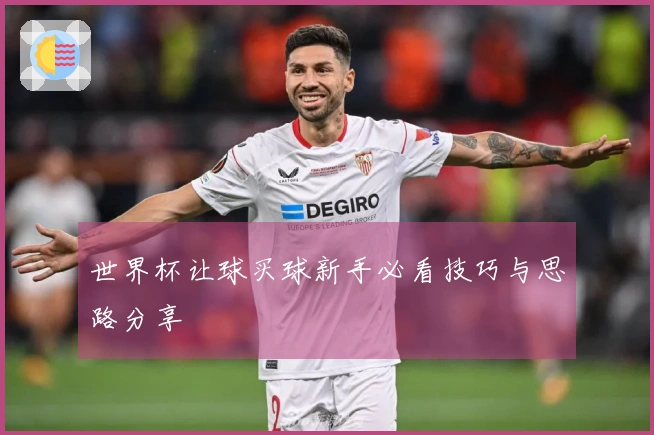 世界杯让球买球新手必看技巧与思路分享