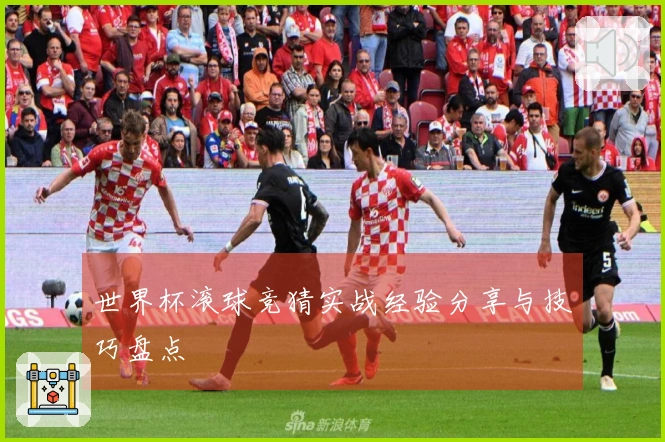 世界杯滚球竞猜实战经验分享与技巧盘点