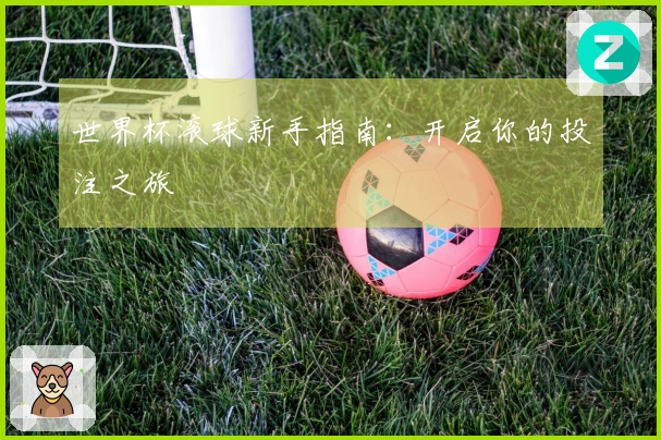 世界杯滚球新手指南：开启你的投注之旅