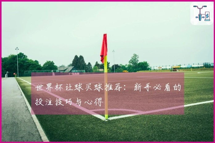 世界杯让球买球推荐：新手必看的投注技巧与心得